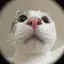 sのプロフィール画像