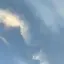 ここはのプロフィール画像