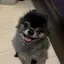 タキのプロフィール画像