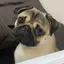 ちゃそのプロフィール画像