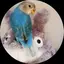 菜実のプロフィール画像