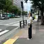 yuuのプロフィール画像