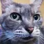 ありんこのプロフィール画像