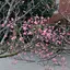 Hisaeのプロフィール画像