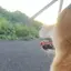あのプロフィール画像