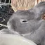 ゆーのプロフィール画像
