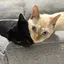 そーのプロフィール画像