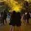 はるかのプロフィール画像