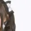 みゆのプロフィール画像