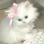 🎀のプロフィール画像