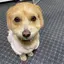 にゃのプロフィール画像