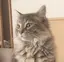 夕起子のプロフィール画像