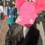 あゆなのプロフィール画像