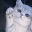 え♥のプロフィール画像
