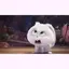 rumiのプロフィール画像