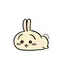 うさぎ。のプロフィール画像