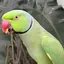 美玲のプロフィール画像