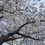 N.salonのプロフィール画像