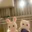 らきのプロフィール画像
