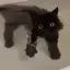 Kのプロフィール画像
