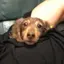 太のプロフィール画像