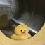Mのプロフィール画像