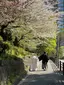 さとのプロフィール画像