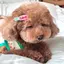 j_miuのプロフィール画像