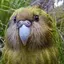 たこのプロフィール画像
