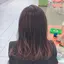 ルイちん君のプロフィール画像