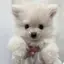 mのプロフィール画像