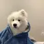 雫のプロフィール画像