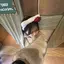 らのプロフィール画像