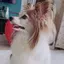 よーぴーのプロフィール画像