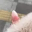 ひのプロフィール画像