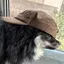 タツキのプロフィール画像