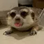 さつきのプロフィール画像