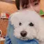 茜のプロフィール画像