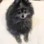 みゆのプロフィール画像