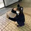 COHaのプロフィール画像