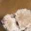 もえのプロフィール画像