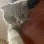 ゆうのプロフィール画像