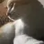 ユリのプロフィール画像