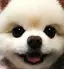 ぼめのプロフィール画像