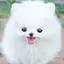 れのプロフィール画像