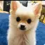ゆいのプロフィール画像
