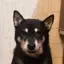 kaoのプロフィール画像
