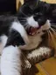 ぼぶのプロフィール画像