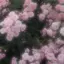 nqnのプロフィール画像