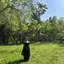 れなのプロフィール画像